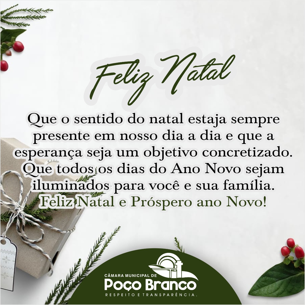 FELIZ NATAL E PRÃ“SPERO ANO NOVO 